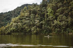 rudern natur